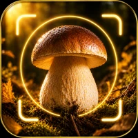 Mushroom Identifier: AI Scan